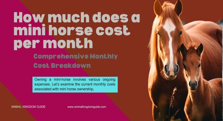 How much does a mini horse cost per month Fully