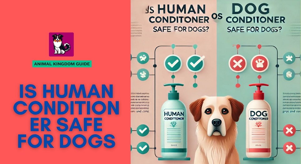 Is Human Conditioner Safe for Dogs