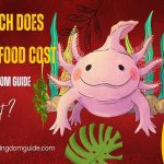 How Much Does Axolotl Food Cost