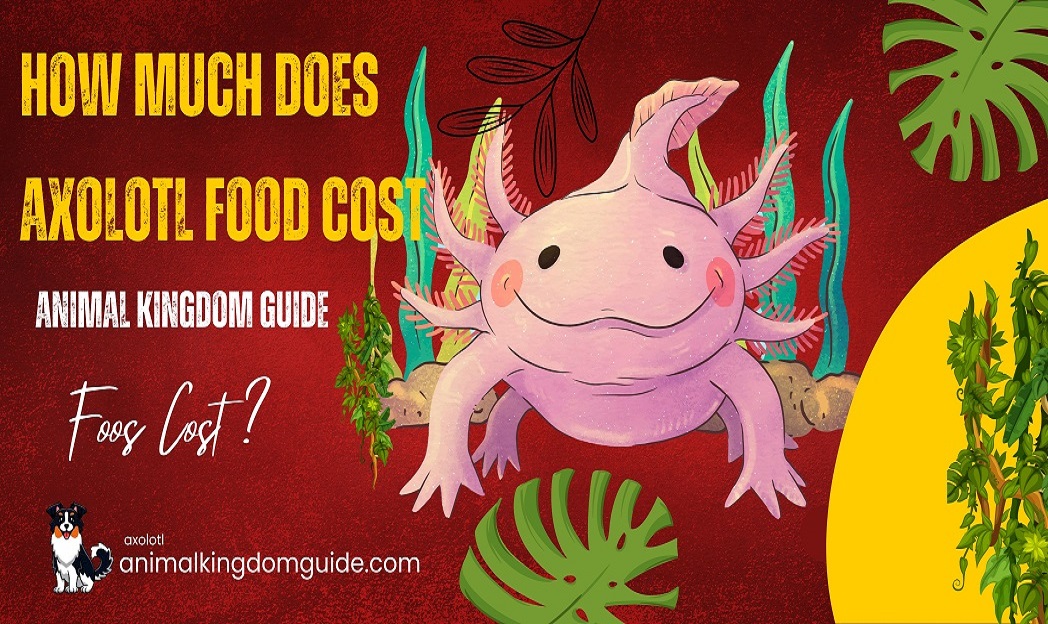 How Much Does Axolotl Food Cost