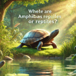 Are turtles amphibians or reptiles