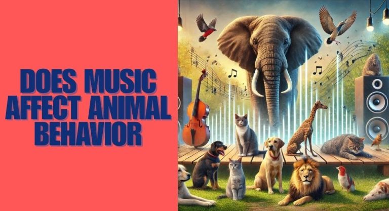 Does Music Affect Animal Behavior